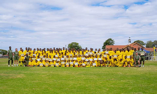 Villarreal CF Coaches and Players Grid